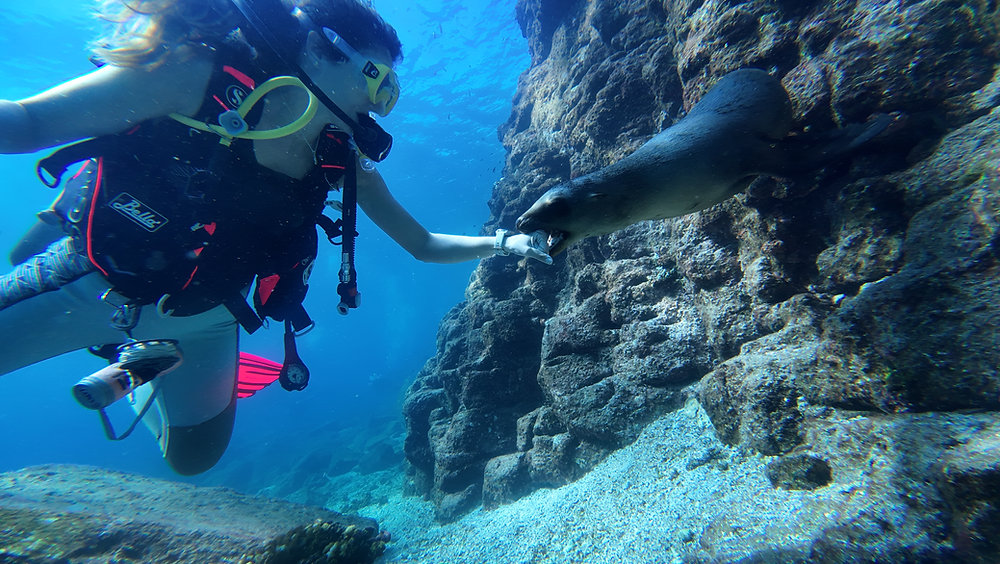 PADI Open Water Diver Course in Praia, Cape Verde